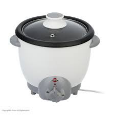 پلوپز تایمردار دو نفره RC61TYAN